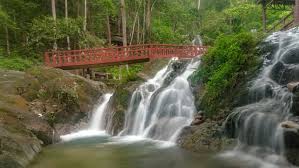 The road to get to kanching is well paved and not very curvy. Time Lpase Of Kanching Rainforest Stock Footage Video 100 Royalty Free 1005621382 Shutterstock