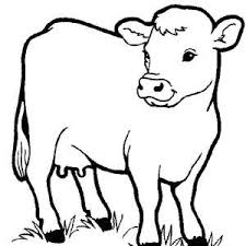 Realistic Farm Animal Picture Coloring Page Realistic Farm Animal Picture Coloring Farm Animal Coloring Pages Cow Coloring Pages Coloring Pictures Of Animals