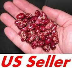 Maybe you would like to learn more about one of these? 50 Seeds Of Frijol Cargamanto Rojo Beans E182 Nutritious Beans Ebay