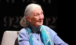 Jane Goodall, the gentle disrupter whose research on chimpanzees redefined what it meant to be human