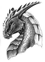 You can also see masterfully designed charcoal drawings. Drawing Pencil Cool Drawings Of Dragons