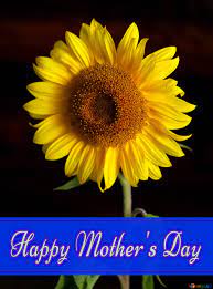30 fantastic happy mother's day animated card gifs. Download Free Picture Sunflower Flower Pretty Lettering Happy Mothers Day On Cc By License Free Image Stock Torange Biz Fx 171171