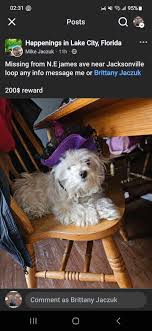 Due to Governor DeSantis issuing an order limiting Florida residents to  essential services only for the next 30 days~ WE WILL BE CLOSED UNTIL  FURTHER NOTICE! Please call 386•752•1999 for further future