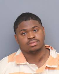 Man Sentenced To 18 Months In Prison For Gross Negligent Manslaughter Of  Zkiara Kemp