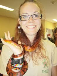 Norfolk reviews rules