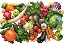 Volume 2: Nutrition – Evewear