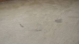 Check spelling or type a new query. How To Get Foundation And Make Up Stains Out Of Your Carpet