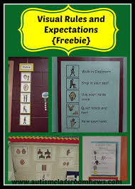 Having classroom rules gives students a sense of structure and routine and helps them realise that there are certain things one must do when within a. Visual Rules And Expectations Freebie Autism Classroom Resources