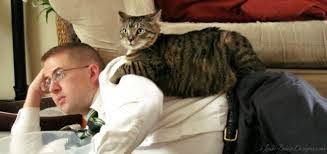 Micho Kedi Mamasi Ve Mito Kedi Mamasi Temizmama Suzionline