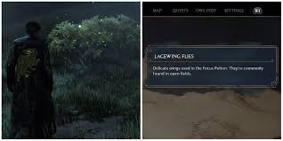 Hogwarts Legacy: Where To Find Lacewing Flies