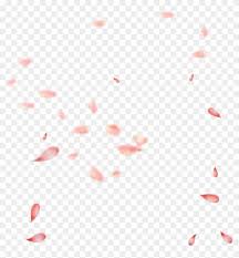 Use these free japanese cherry blossom color png #90763 for your personal projects or designs. Petal Pink Gratis Transprent Transparent Cherry Blossom Petals Falling Png Png Download 1479x1522 6469197 Pngfind