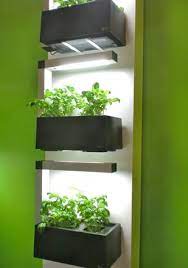 Ambiente 2012 Frankfurt Design Wallpaper Magazine Indoor Herb Garden Indoor Vegetable Gardening Herbs Indoors