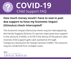 Questions About How Your Stimulus Check Missouri Department Of Social Services Facebook