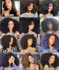 12monthsofhairchallenge Created By My Fav Growwithjo 2018 Was Definitely A Year Of Expe Natural Hair Types Curly Hair Women Short Natural Hair Styles