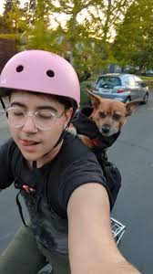 Seeking west seattle housing with dog