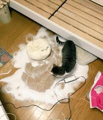 なご on X: あああああああああああああああああああああああああ t.coH1iyXFz8Fx  X