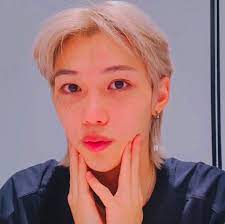 Pin On Straykids Icons