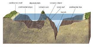 Weekly Lesson For April 16 Mrs Wilson Ocean Zones Ocean Projects Ocean Kids