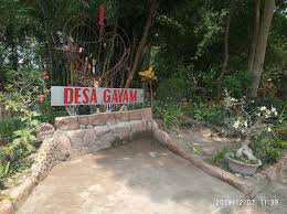 We did not find results for: Wisata Pancar Wonotirto Wonokasian Gayam Kediri Ionku Com