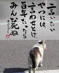 まいどなニュース