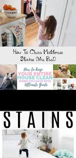 Clean Pee Stains From Your Mattresses With These Cleaning Tips Works For Pet Urine Or Human Pee Tips In 2020 Clean Mattress Stains Mattress Cleaning Mattress Stains