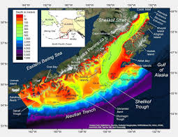 New Seafloor Maps Reveal Habitat Sculpted By Ancient