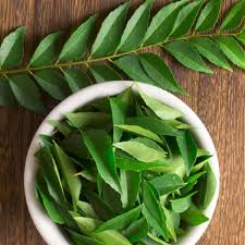 Image gallery of medicinal plants. Easy To Grow 10 Medicinal Plants At Home Ferns N Petals