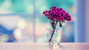 Beautiful Wallpaper Hd 1920x1080 Beautiful Wallpaper Hd Beautiful Flowers Hd Wallpapers Beautiful Flowers