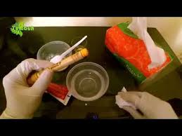 Pin Oleh Wedw Di Pin Pasta Gigi Gigi Youtube