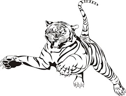 Dibujos De Tigres Para Colorear