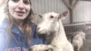 Past Winners and Finalists