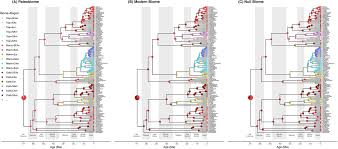 Modeling Phylogenetic Biome Shifts On A Planet With A Past