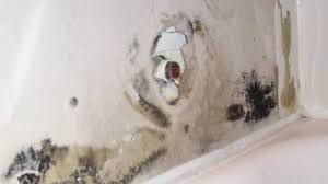 This mold isn't the kind that grows on food, but rather the biotoxic black mold that grows behind the walls and floorboards, and wreaks havoc on the human body. Black Mold Behind Plastic Bathtub Surround Bathroom Demolition And Remodeling Youtube