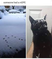 Someone Had A Nope Meme Ahseeit
