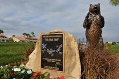Image result