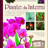 Coltivazione piante da interno resistenti. 1
