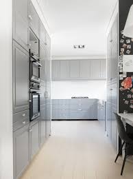 Ikea Bodbyn Cuisine Gris 01 Kitchen Remodel Kitchen Flooring Home Remodeling
