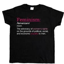 Definition Of Feminism Women S T Shirt Feminism Definition T Shirts For Women Feminism