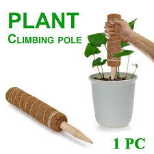 Check spelling or type a new query. Moss Stick à¤® à¤¸ à¤¸ à¤Ÿ à¤• Aviva Enterprises Lucknow Id 23262092773