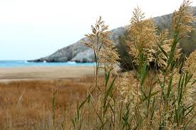 Οι δυο τους έκαναν ελεύθερο κάμπινγκ σε διάφορα σημεία. Livadi Folegandros Hotels Book Hotel Online