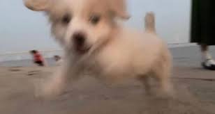 보기만해도 신나는 짤 | 중고악기 뮬