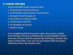 Protein memegang peranan penting dalam kelangsungan hidup suatu organisme, yaitu sebagai pembantu reaksi metabolisme organ tubuh, membantu mengatur fungsi dna, menanggapi rangsangan , serta membantu mengangkut molekul dari satu organ tubuh ke organ yang lainnya. Ilmu Gizi Dasar Pokok Bahasaan I Pengertian Pengertian Ppt Download