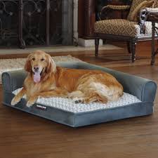 Get your fur kids the dog calming bed™ and let them rediscover a good night's sleep! Costco Uk Kirkland Signature 36 Xlarge Dog Bed Dog Beds Uk Elevated Dog Bed