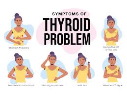 Image result for Thyroid Function Test