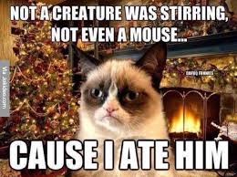 Maybe you would like to learn more about one of these? Funny Christmas Grumpy Cat Meme Like Mother Like Daughter