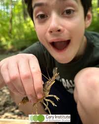 We're wrapping up another summer of Cary summer day camps. This year, more  than 130 students worked with educators and scientists as they participated  in eco-explorations