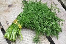 Thìa là - Rau thơm, vị thuốc quý