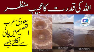 Viral Video From Desert Of Al Qassim Saudi Arabia Arab Urdu News Adil Tanvir Alltolearn Blog The world's largest selection of courses. blog to learn