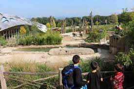 11 family activities for sunny days in zurich family activities switzerland travel activities