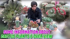 Growing cacti and other succulent plants can be an addictive pastime! Some Information About Cactus Plants Over View Jamshed Asmi Informative Channel In Urdu Hindi Youtube